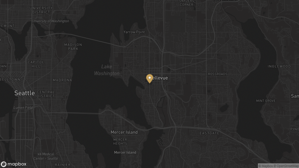 Static neighborhood-context map for Bellevue, Washington.
